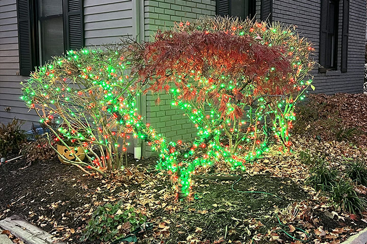 Christmas Light Installation in Newark OH 29